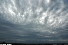 Altocumulus Castellanus - 05 septembre 2005 - Mini